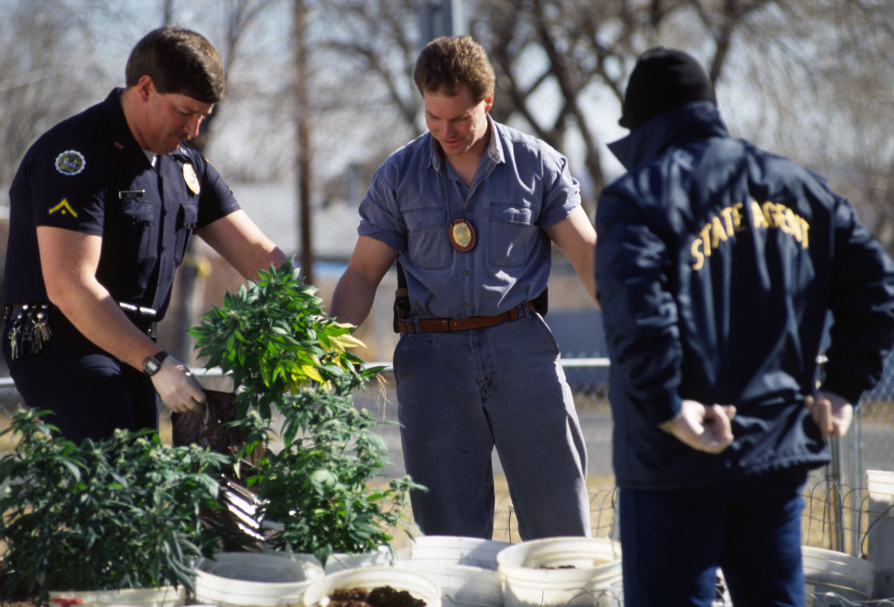 Billings police assist in marijuana grow raid, February 1991